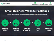 Tablet Screenshot of blackswampint.com